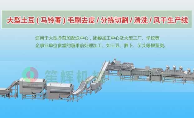 泗洪连续式土豆去皮清洗切割风干生产线